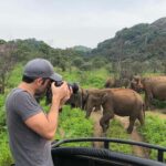 Hurulu Eco Park Jeep Safari & Entrance Ticket Included - What to Expect from the Safari