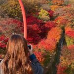 Hwadam Botanic Garden and Namhansanseong and Folk Village Trip - Who Will Love This Tour?