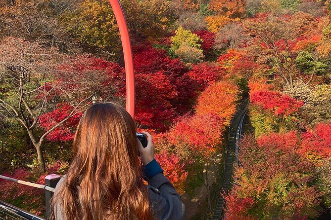 Hwadam Botanic Garden and Namhansanseong and Folk Village Trip - Who Will Love This Tour?