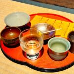Hyogo: Tamba-Sasayama Sake Tasting Tour with Tamba Toji - Is This Tour Right for You?