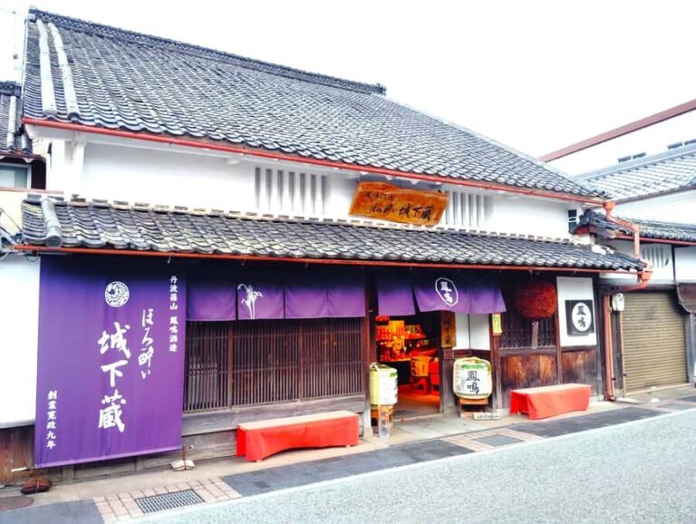 Hyogo: Tamba-Sasayama Sake Tasting Tour with Tamba Toji - Overview of the Experience