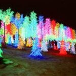 I-City Night Tour - Authentic Insights from Reviews