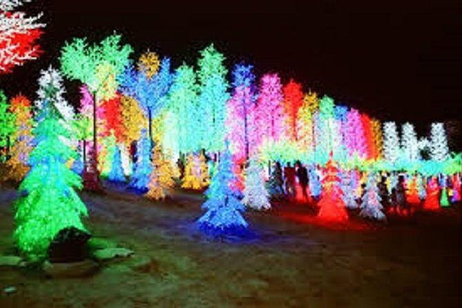 I-City Night Tour - Authentic Insights from Reviews