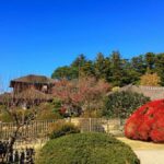 Ibaraki: Kairakuen, One of Japans Three Great Gardens - Practical Details and Value