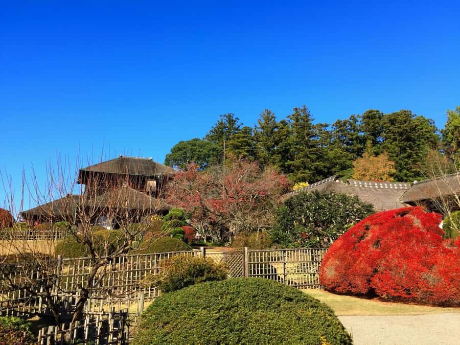 Ibaraki: Kairakuen, One of Japans Three Great Gardens - Practical Details and Value