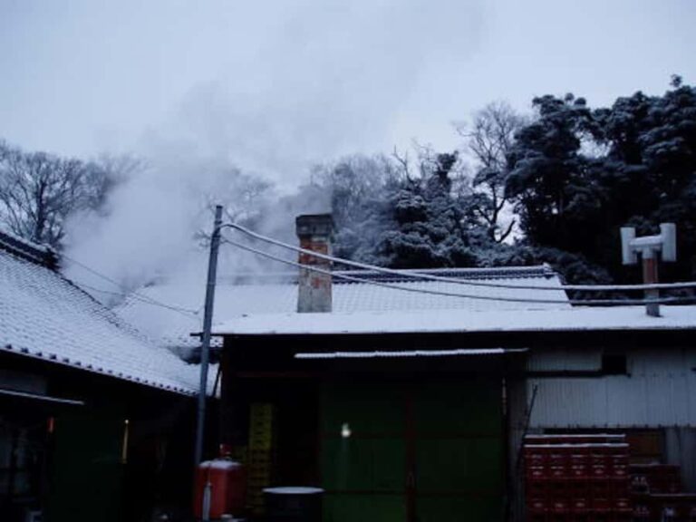 Ibaraki : Tanaka Sake Brewery Tour with Tasting - Who It’s Best For