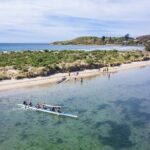 Iconic Dunedin Coastal Tour by Minibus with Maori Cultural Walk - Transportation and Group Dynamics