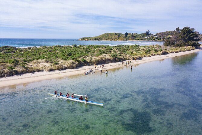 Iconic Dunedin Coastal Tour by Minibus with Maori Cultural Walk - Transportation and Group Dynamics