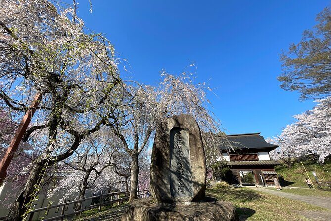 Iiyama Castle Cherry Blossom and Nozawa Onsen Morning Tour - What Past Travelers Have Said (Based on Review Insights)