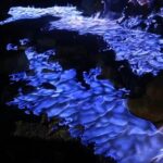 Ijen Blue Fire Private Trekking by EnDag Bali - Overnight in Banyuwangi and the Morning Trek