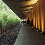 Imperial Palace, Meiji Shrine, & Aoyama Tour - Practical Details and Traveler Insights