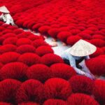 Incense Hat Making and Train Street Small Group Tour From Hanoi - Final Thoughts and Who This Tour is Best For