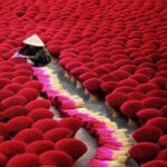Incense Village Group Tour from Ha Noi to Ninh Binh - Analyzing the Experience: Is It Worth It?