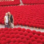 Incense Village & Ninh Binh Discovery Group Tour from Hanoi - Who Would Enjoy This Tour?