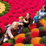 Incense Village Private Tour From Hanoi to Ninh Binh Gateway - Practical Considerations