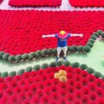 Incense Village Small Group Of 9 Tour to Ninh Binh From Hanoi - Transportation and Group Details