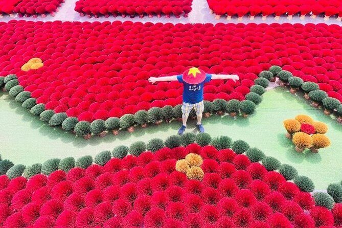 Incense Village Small Group Of 9 Tour to Ninh Binh From Hanoi - Transportation and Group Details