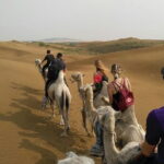 Inner Mongolia Hohhot 1Day Kubuqi Desert (Whistling Dune Bay)Tour - Whistling Dune Bay: Adventure and Thrills
