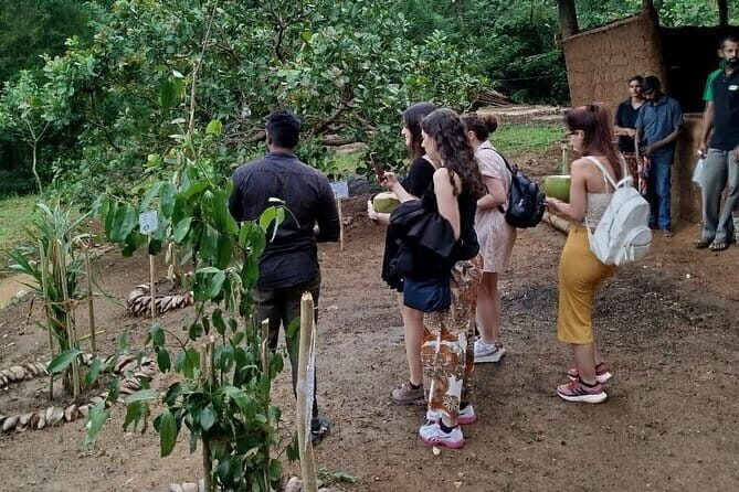 Interactive Cinnamon and Spices Experience at Warala Watta Farm - The Overall Value and Practical Details