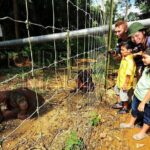 Ipoh Private Day Trip from Kuala Lumpur with Lunch - The Practicalities: What to Expect