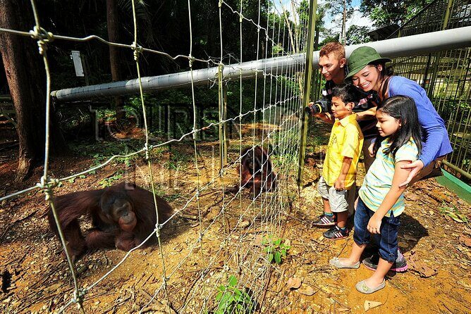 Ipoh Private Day Trip from Kuala Lumpur with Lunch - The Practicalities: What to Expect