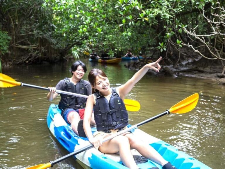 Iriomote island: Mangrove River SUP or Canoe Cruising Tour - Why Choose the Iriomote Mangrove Tour?