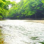 Ise: Express Tour of Japans Most Sacred Shrine - Final Thoughts