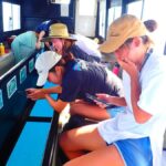 Ishigaki: Half-Day Scenic Tour with Photos & Transfer - Transportation & Logistics