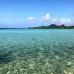 Ishigaki Island Highlights Tour - Who Should Consider This Tour?