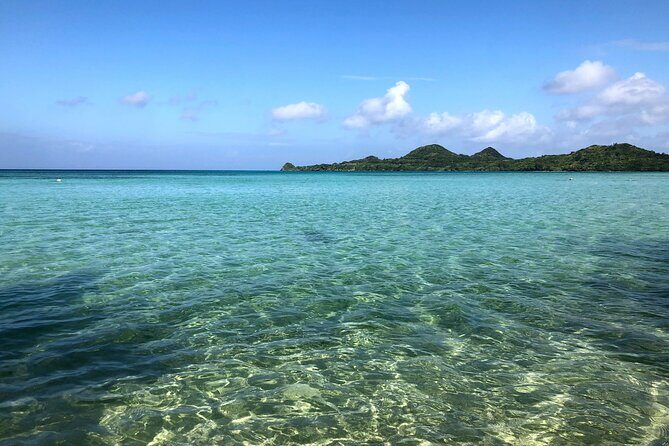 Ishigaki Island Highlights Tour - Who Should Consider This Tour?