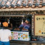 Ishigaki Island Private Photo Tour by English Native Speaker - An In-Depth Look at the Tour