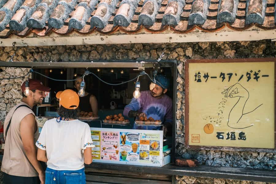 Ishigaki Island Private Photo Tour by English Native Speaker - An In-Depth Look at the Tour