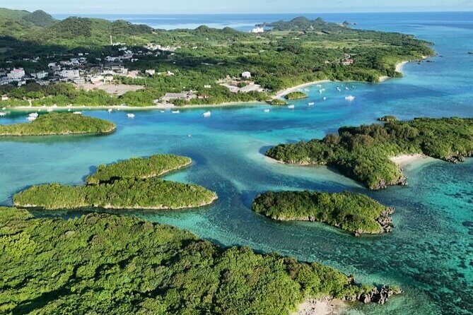 Ishigaki Island Private Tour Trails & Scenic Spots - Who Will Love This Tour?