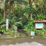 Ishigaki Okinawa: Private Shore Excursion for Cruise Guests - Practical Aspects of the Tour