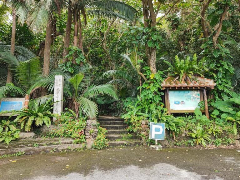 Ishigaki Okinawa: Private Shore Excursion for Cruise Guests - Practical Aspects of the Tour