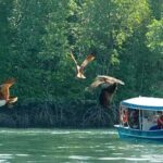 Island Discovery Boat Adventure in Langkawi with Pick Up - What You Can Expect from the Experience