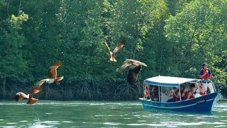 Island Discovery Boat Adventure in Langkawi with Pick Up - What You Can Expect from the Experience