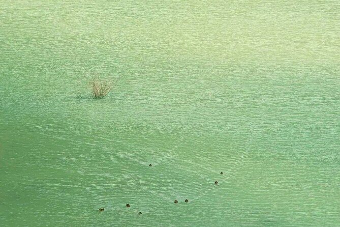 Issyk Lake & Bear Waterfall In Turgen Gorge+Golden Man museum - The Forest Walk and Bear Waterfall