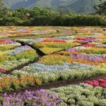 ita: Lantern-Lit Towns and Christmas Lights Tour - What to Expect at Each Stop