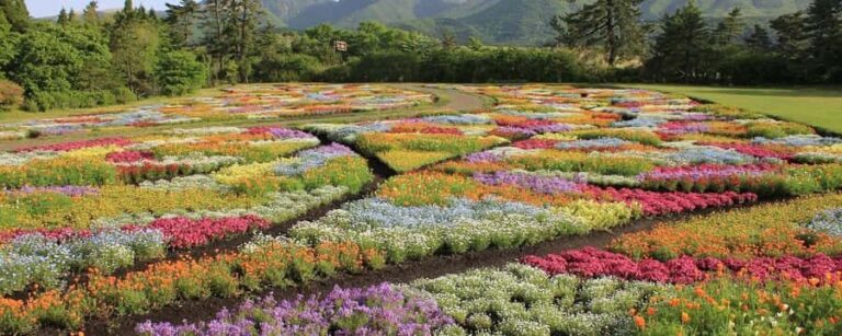 ita: Lantern-Lit Towns and Christmas Lights Tour - What to Expect at Each Stop