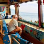 Izu Day Trip: Omuroyama & Coast 9-Guest Small Group - Transportation and Logistics