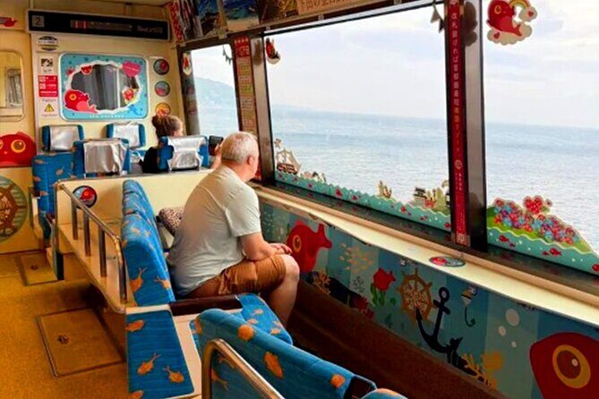 Izu Day Trip: Omuroyama & Coast 9-Guest Small Group - Transportation and Logistics