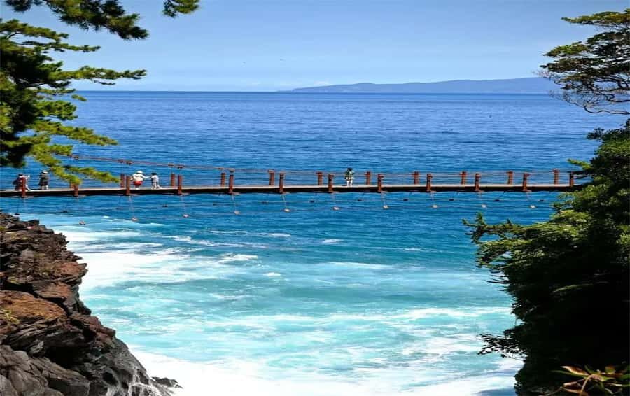 Izu: Ito Coast Grotesque & Doll Museum Day Trip From Tokyo - Practical Details and Tips