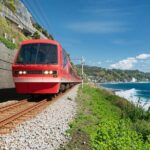 Izu Ocean View Train & Kawazu Cherry Blossom Festival Tour - Practical Details and Tips