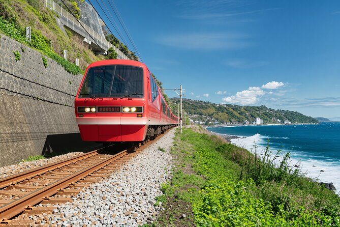 Izu Ocean View Train & Kawazu Cherry Blossom Festival Tour - Practical Details and Tips
