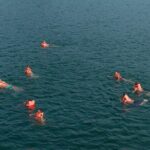 JadeSails - Top Luxury Day Cruise Discover Halong & Lan Ha Bay - Who Is This Tour Best For?