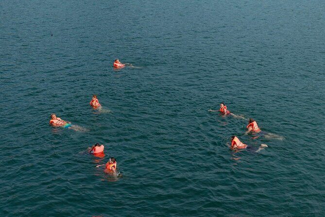 JadeSails - Top Luxury Day Cruise Discover Halong & Lan Ha Bay - Who Is This Tour Best For?