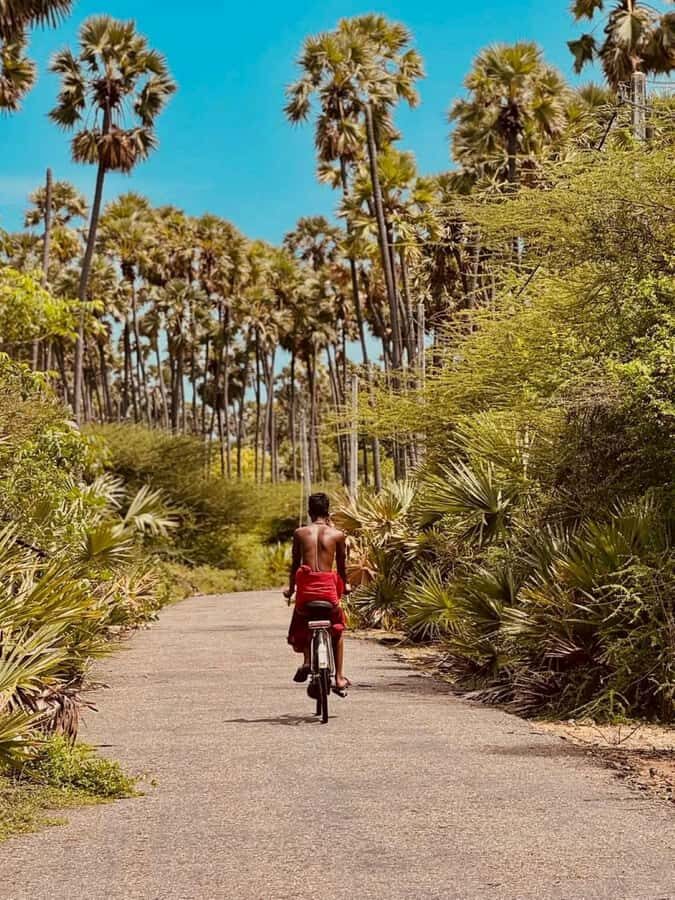 Jaffna City Tuk Tuk Adventure  Explore Like a Local! - What Makes This Tour Stand Out?