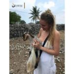 Jaffna: Delft Island Overnight Tour with Tamil Village Stay - Transportation & Practical Details