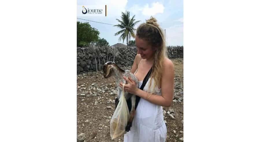 Jaffna: Delft Island Overnight Tour with Tamil Village Stay - Transportation & Practical Details